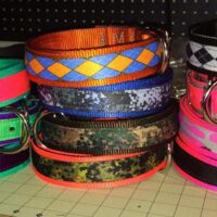1.5" Custom Nylon Dog Collars