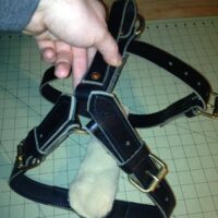 Custom Leather Agitation Harnesses