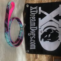XD You pick Colors 1" Wide Custom Nylon Dog Lead