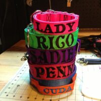 2" Nylon Dog Collars Custom Embroidered