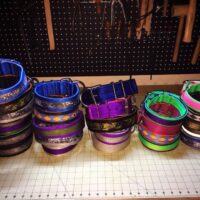 2" Custom Nylon Dog Collars