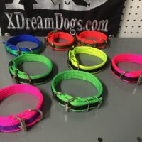 Custom 1" Wide Nylon Dog Collars