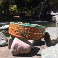 2" Buckshot Collar