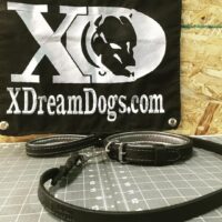 1.25" Latigo Leather Collar & Lead set Silver & Black