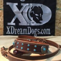 1.5" Brown Latigo Leather, Rust Deerskin Lining Collar & Lead set