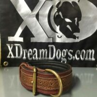 1.5" Bison Striped Latigo Leather Collar Deerskin Lined