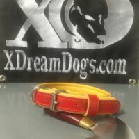 1" Red Leather Collar Elkskin Lined