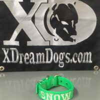 Custom 1" Nylon Dog Collars Embroidered