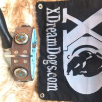 Custom 2" Turquoise Western Leather Collar
