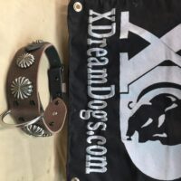 Custom 2" Shield Latigo Leather Collar