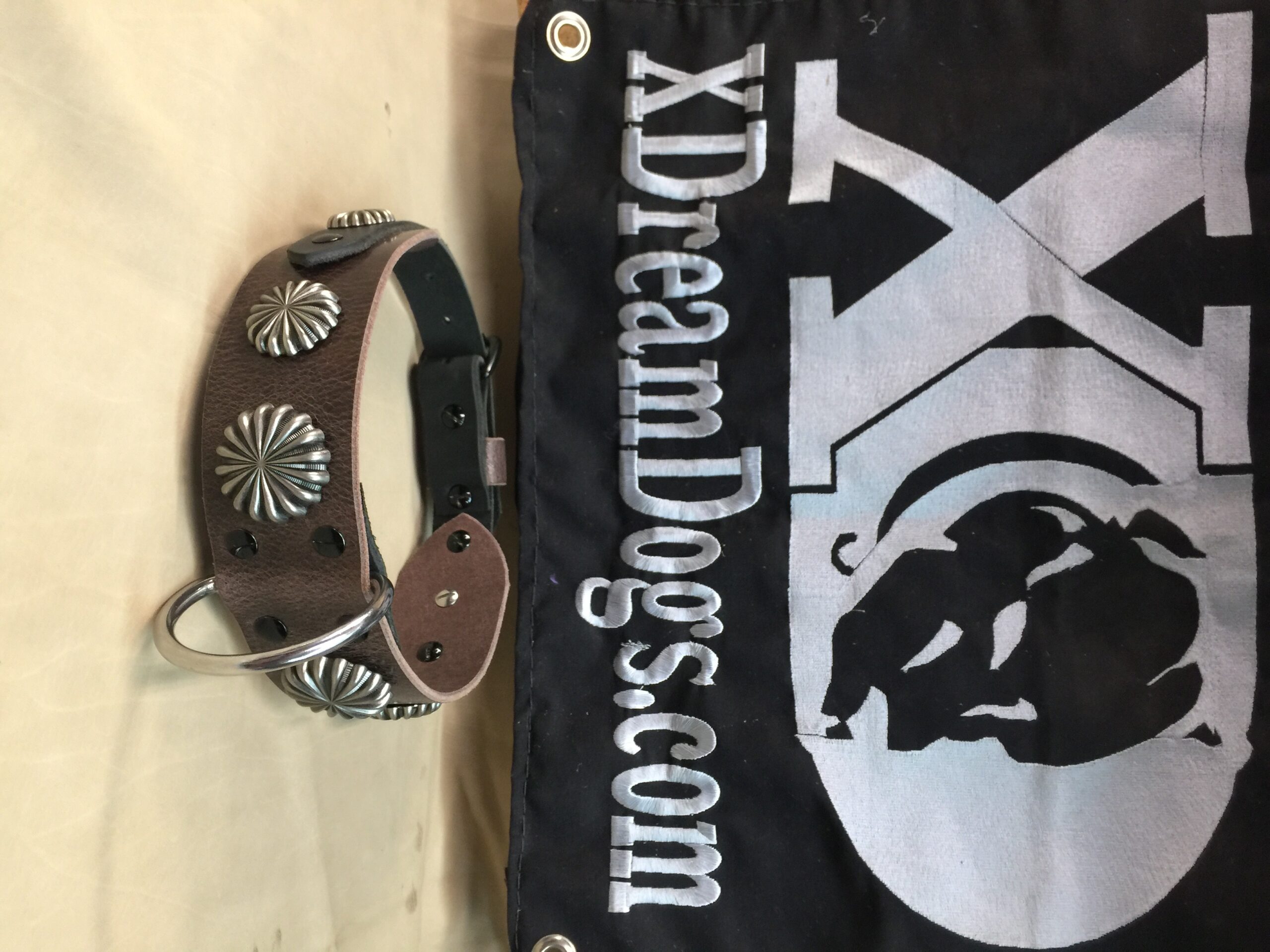Custom 2" Shield Latigo Leather Collar