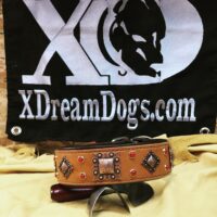 Custom 2" Tiger Eyes Leather Collar