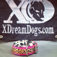 Custom 2" Nylon Fleece-Lined Collar
