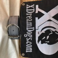 Custom 1.5" Nylon Neoprene-Lined Dog Collars