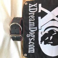 Custom 2" Neoprene Dog Collars