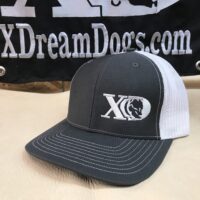 XD Trucker Snapback Grey and White