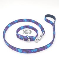 1" Nylon Collar/Lead Set- Liquid Purple Outer, Black Inner, Black Stitch, Neck Size 13-17"
