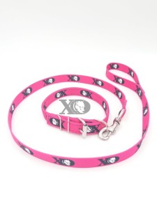 1 Collar Lead Set- XD Pink