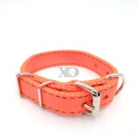 1" Wide Hot Orange Collar, Black Stitch, Neck Size 9-13"
