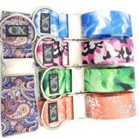 Custom 2" Quick Release Nylon Collar