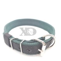 1.5" Nylon Collar- Forest Green Outer and Inner, Black Stripe, Black Stitch, Neck Size 20-25"