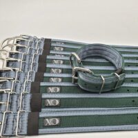 2" Wide Kennel Pack, Grey Seat Belt Outer, Forest Green Inner & Stripe, Black Stitch, Size 13-18"