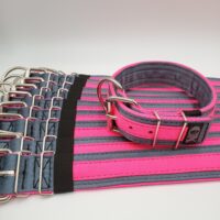 2" Wide Kennel Pack, Grey Seat Belt Outer, Hot Pink Inner & Stripe, Black Stitch, Size 17-22"