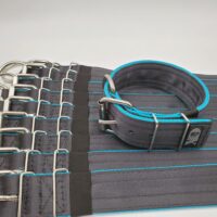 2" Wide Kennel Pack, Black Seat Belt Outer, Powder Blue Inner, Black Stitch, Size 14-20"