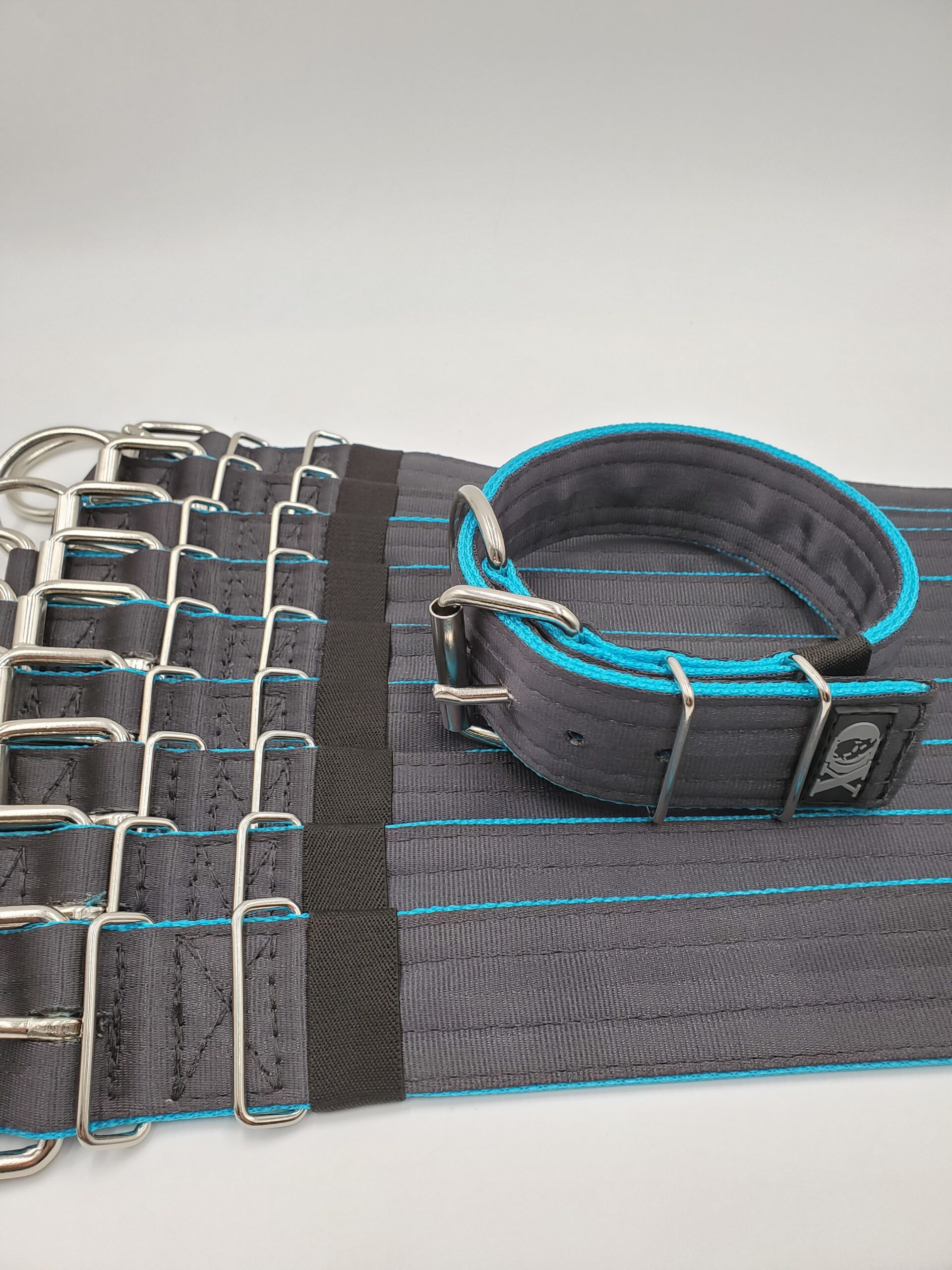 2" Wide Kennel Pack, Black Seat Belt Outer, Powder Blue Inner, Black Stitch, Size 14-20"