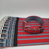 2" Wide Kennel Pack, Grey Seat Belt Outer, Light Red Inner & Stripe, Black Stitch, Size 17-22"