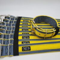 2" Wide Kennel Pack, Grey Seat Belt Outer, Hot Yellow Inner & Stripe, Black Stitch, Size 14-19"