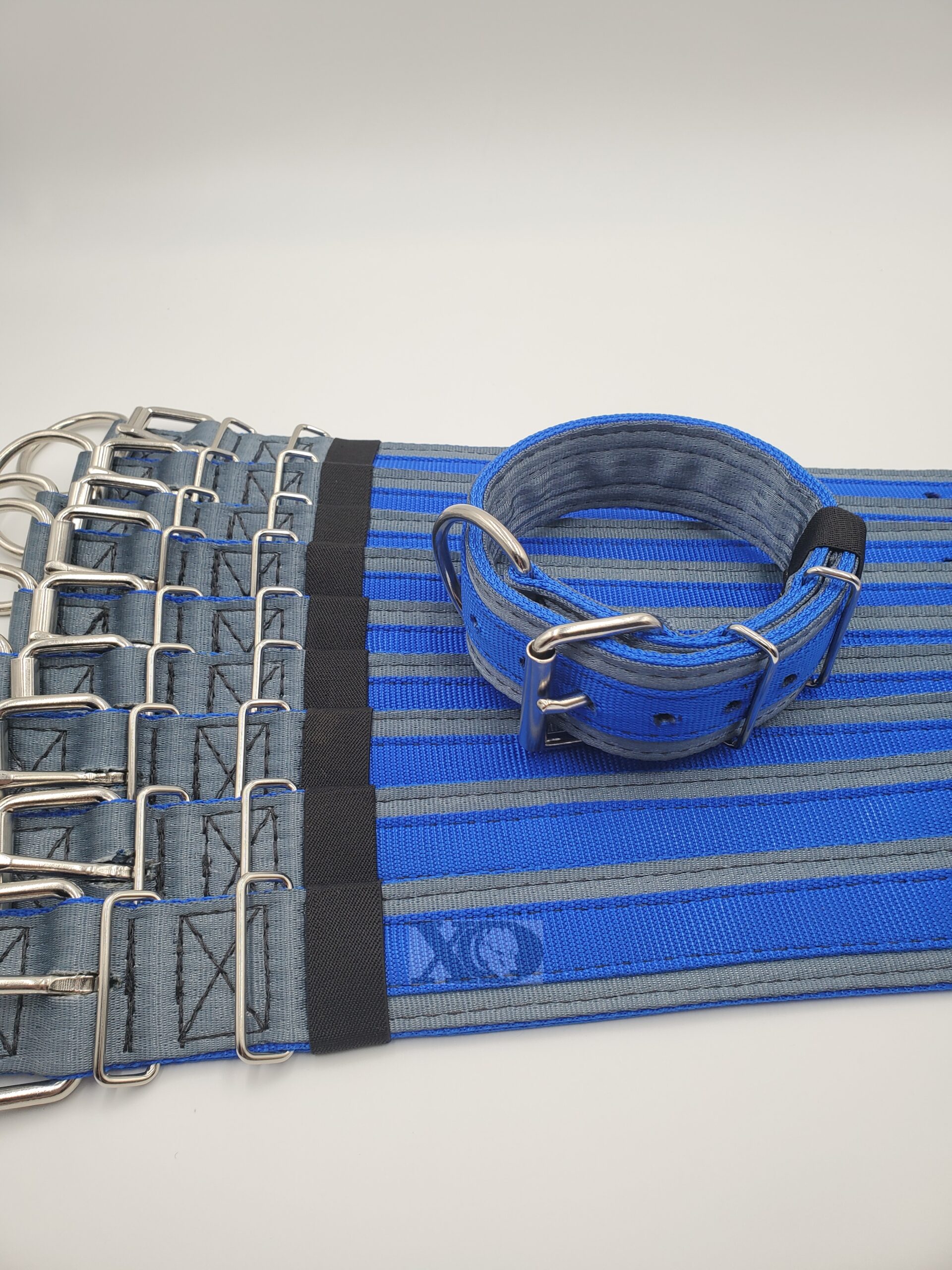 2" Wide Kennel Pack, Grey Seat Belt Outer, Royal Blue Inner & Stripe, Black Stitch, Size 15-20"