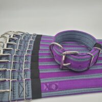 2" Wide Kennel Pack, Grey Seat Belt Outer, Purple Inner & Stripe, Black Stitch, Size 15-20"