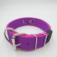 2" Nylon Collar- Purple Outer, Hot Pink Inner, Pink Stitch, Neck Size 20-24"