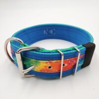 2" Nylon Collar- Pacific Blue Outer, Hot Green Inner, Tie Dye Stripe, Blue Stitch, Neck Size 19-24"