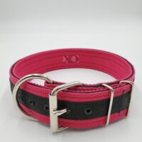 2" Nylon Collar- Raspberry Outer, Black Inner and Stripe, Black Stitch, Neck Size 21-26"