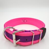 2" Nylon Collar- Hot Pink Outer, Purple Inner and Stripe, Purple Stitch, Neck Size 23-28"