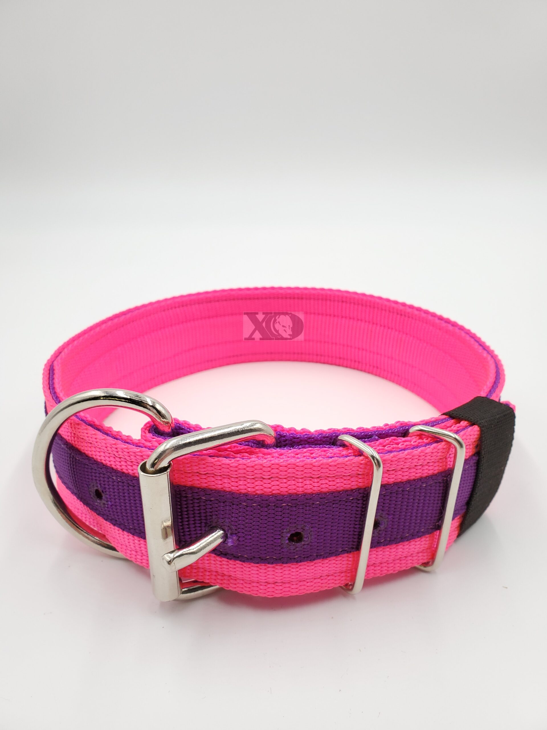 2" Nylon Collar- Hot Pink Outer, Purple Inner and Stripe, Purple Stitch, Neck Size 23-28"