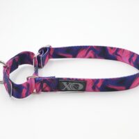 1" Wide Nylon Martingale, Liquid Hot Pink, Stainless Steel Hardware, Size Small