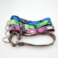 1.5" Wide Custom Nylon Martingales