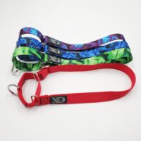 1" Wide Custom Nylon Martingales