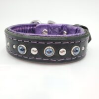 1" Black Latigo Leather Collar, Lined with Metallic Purple Deerskin, Purple Stitch, Stainless Steel Hardware, Black and Silver Conchos, Neck Size 8-13"