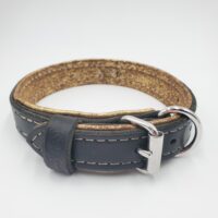 1" Black Latigo Leather Collar, Lined with Gold Deerskin, Tan Stitch, Stainless Steel Hardware, Neck Size 14-19"