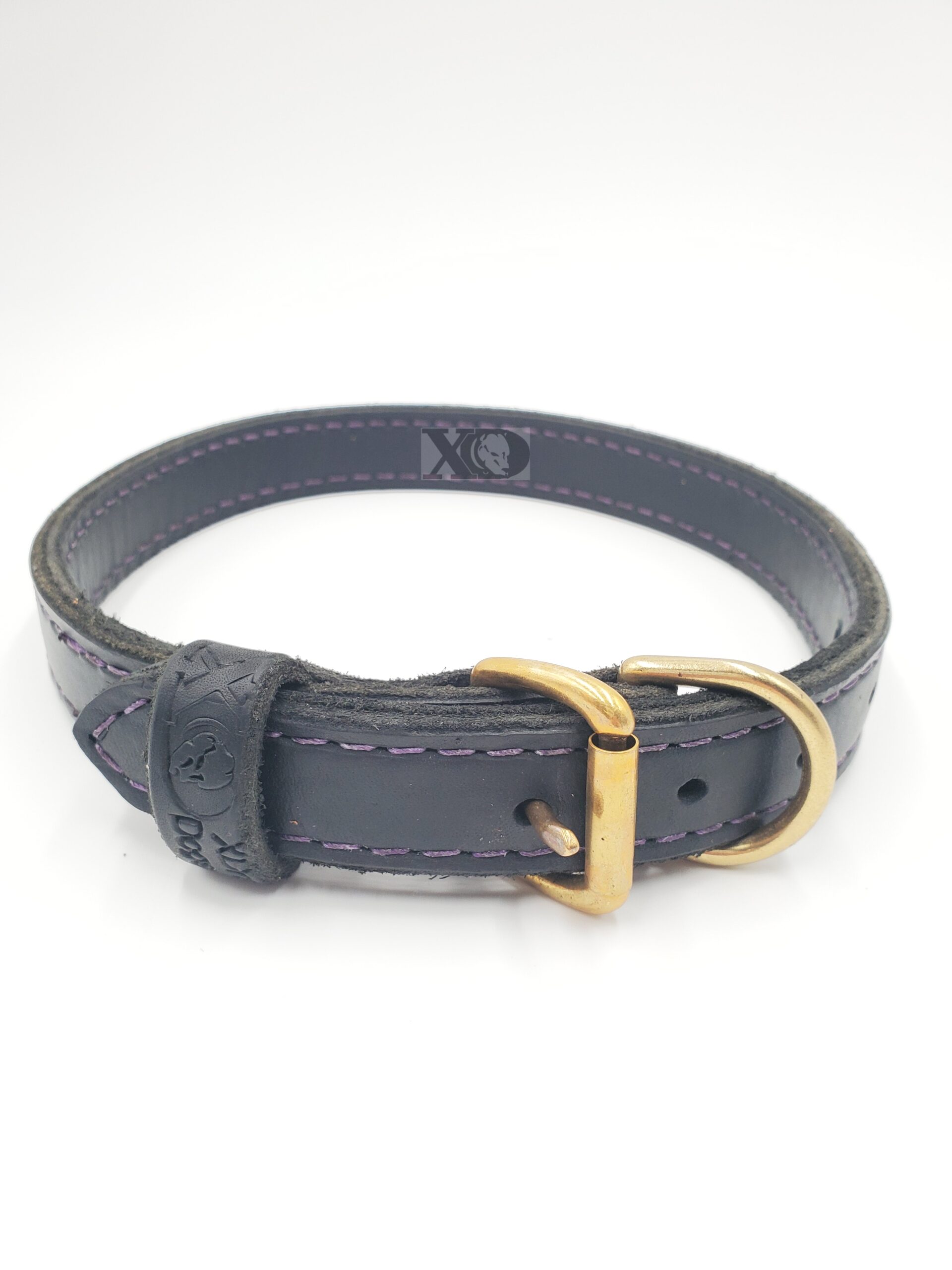 1" Black Latigo Leather 2-Ply, Heavy Duty Working Collar, Purple Stitch, Solid Brass Hardware, Neck Size 18-23"