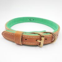 1" Tan Latigo Leather Collar, Lined with Lime Deerskin, White Stitch, Solid Brass Hardware, Neck Size 21-26"