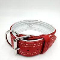 2" Red Latigo Leather Collar, Lined with Silver Deerskin, White Stitch, Neck Size 16-20"