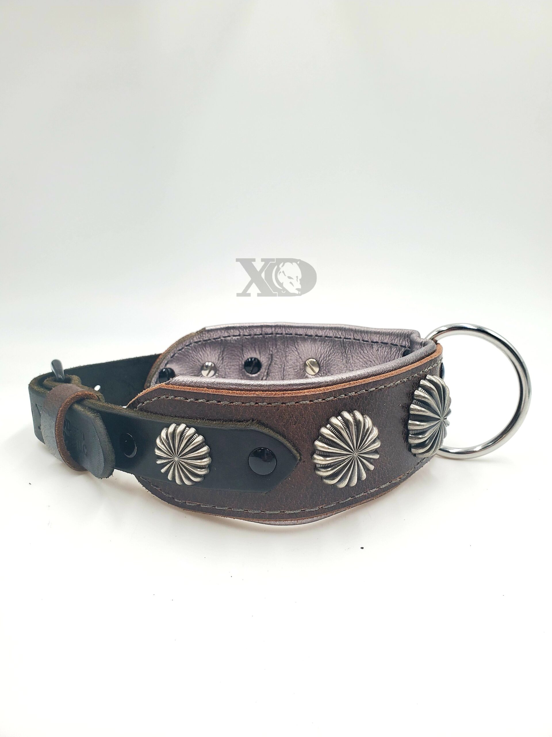 2" Latigo Leather Collar, Lined with Gunmetal Deerskin, Grey Stitch, Silver Shield Conchos & D-Ring, Neck Size 20-22"