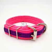 1" Wide Collar, Hot Pink with Purple Stripe, Neck Size 10-14"