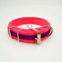 1" Wide Collar, Hot Pink with Purple Stripe, Neck Size 11-15"
