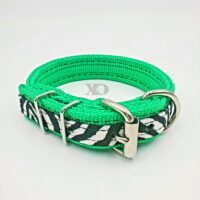 1" Wide Collar, Hot Green with Zebra Stripe, Neck Size 11-15"